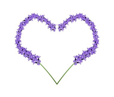 Purple Lavender Flowers in Heart Shape Frame