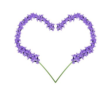 Purple Lavender Flowers in Heart Shape Frame clipart