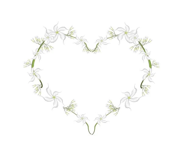 Cape Jasmine Flowers in A Heart Shape — Stockový vektor