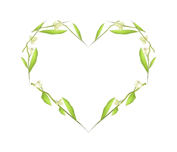 Ylang Ylang Flowers in Heart Shape Frame — Wektor stockowy