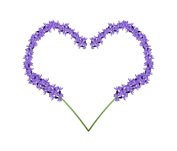 Purple Lavender Flowers in Heart Shape Frame — Stock Vector