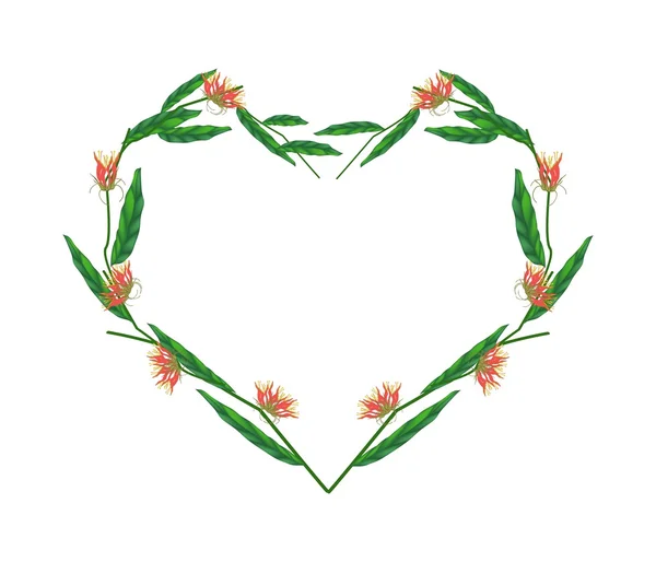 Clinacanthus Nutans Flowers in Heart Shape Frame — Stockvector