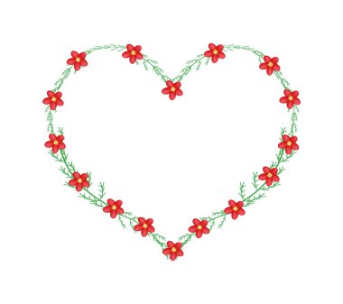 Red Yarrow Flowers in A Heart Shape Frame