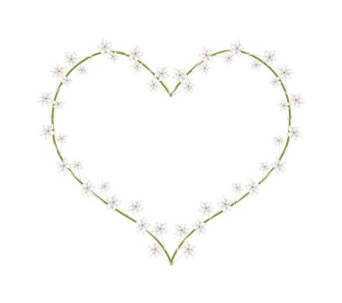White Madagascar Jasmine Flowers in A Heart Shape
