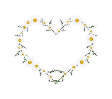 Beautiful White Daisy Flowers in Heart Shape clipart