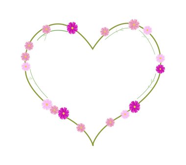 Pink Cosmos Flowers in A Heart Shape