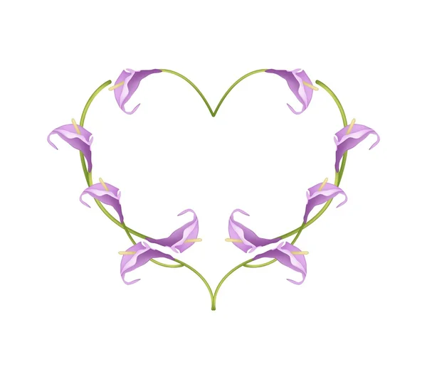 Beautiful Violet Anthurium Flowers in Heart Shape — 图库矢量图片