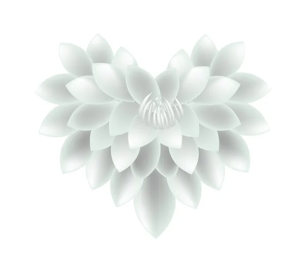 White Dahlia Flowers in A Heart Shape — Stock vektor