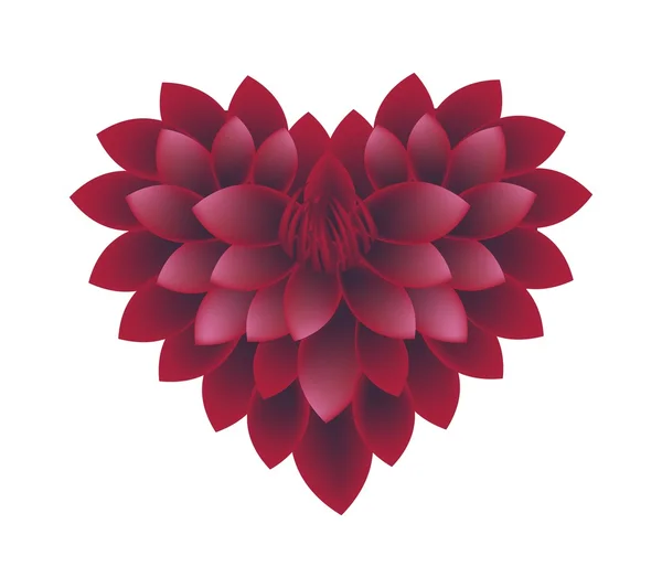 Red Dahlia Flowers in A Heart Shape — Stockový vektor