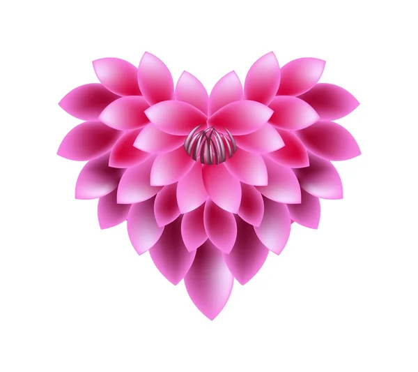 Fleurs roses Dahlia en forme de coeur — Image vectorielle