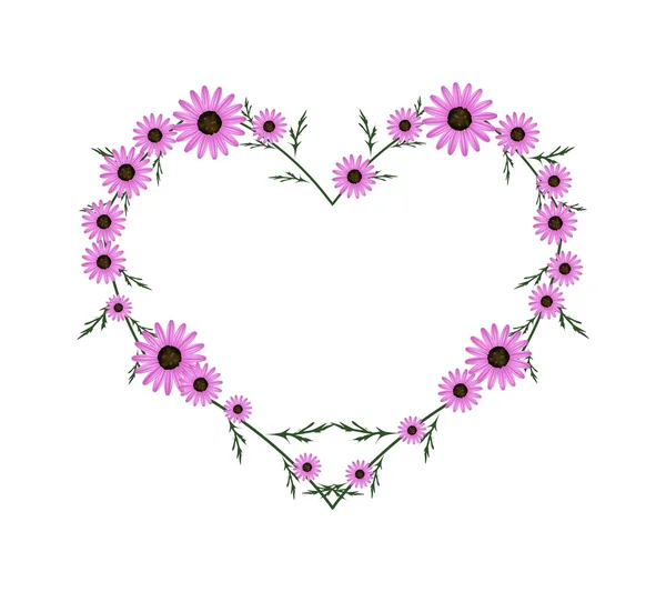 Hermosas flores de margarita rosa en forma de corazón — Vector de stock