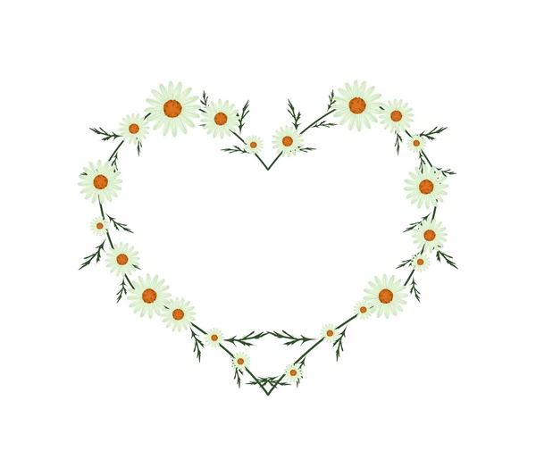 Beautiful Green Daisy Flowers in Heart Shape — Stockvector