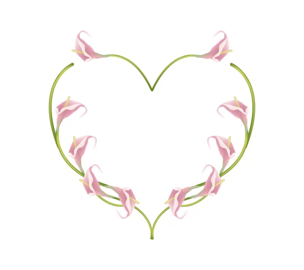 Beautiful Pink Anthurium Flowers in Heart Shape — Stock Vector