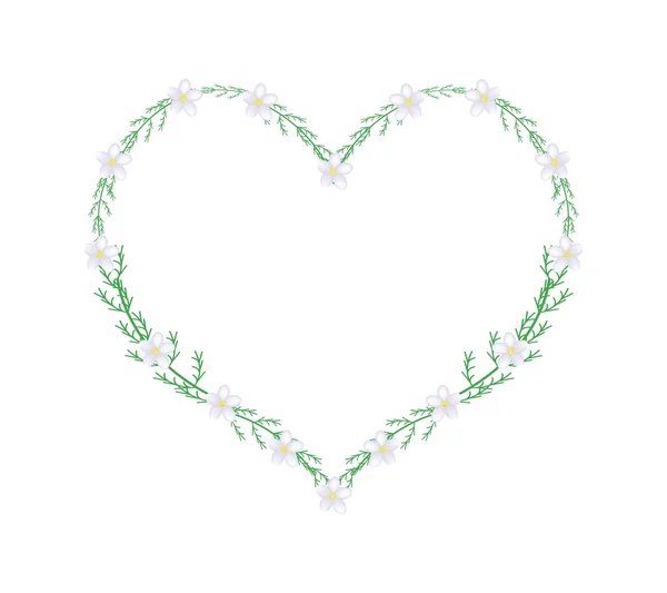 White Yarrow Flowers in A Heart Shape Frame — Stock Vector