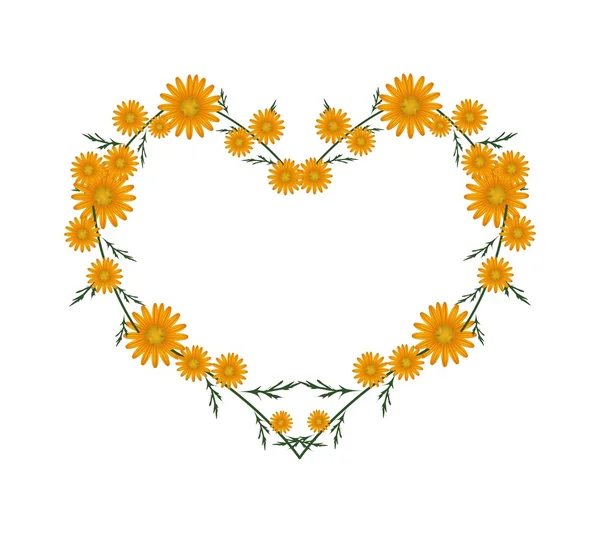 Lindas flores de Margarida laranja em forma de coração —  Vetores de Stock