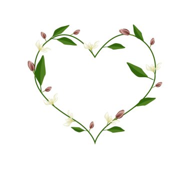 Wine Magnolia Flowers in A Heart Shape
