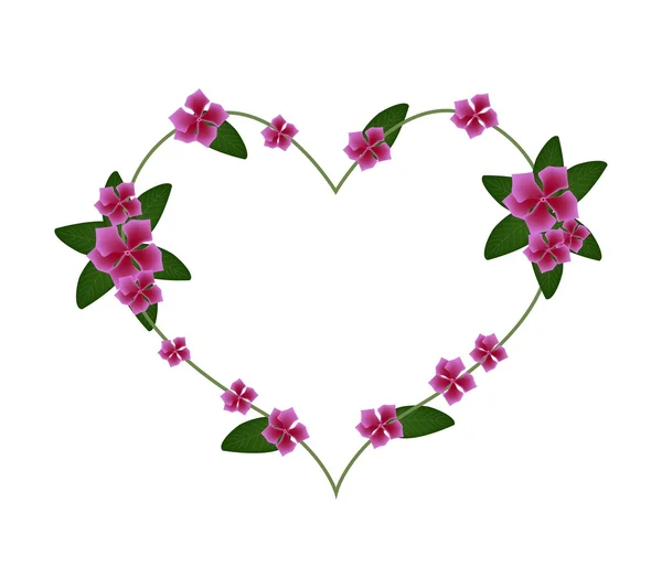 Pink Cape Periwinkle Flowers in A Heart Shape — Stock Vector