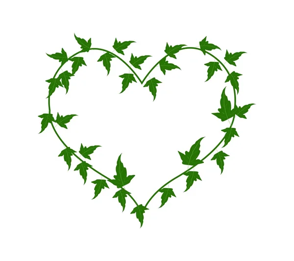 Green Ivy Vine in A Beautiful Heart Shape — Stock Vector