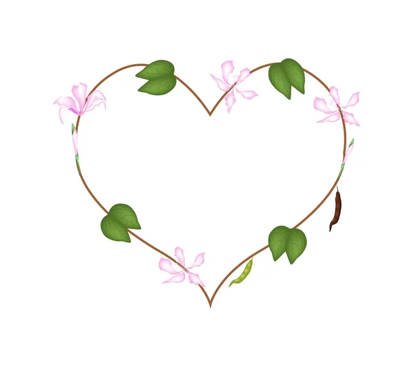 Pink Bauhinia Purpurea Flowers in A Heart Shape — Διανυσματικό Αρχείο