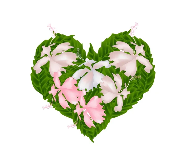 Rosa Hibisco Flores em uma forma de coração — Vetor de Stock