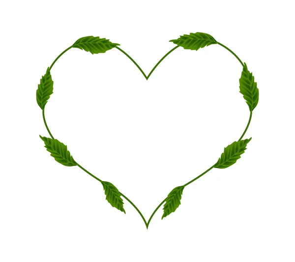 Folhas verdes frescas em um coração bonito —  Vetores de Stock