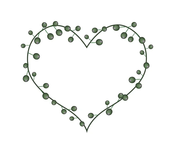 Flores verdes brotes en forma de corazón — Vector de stock