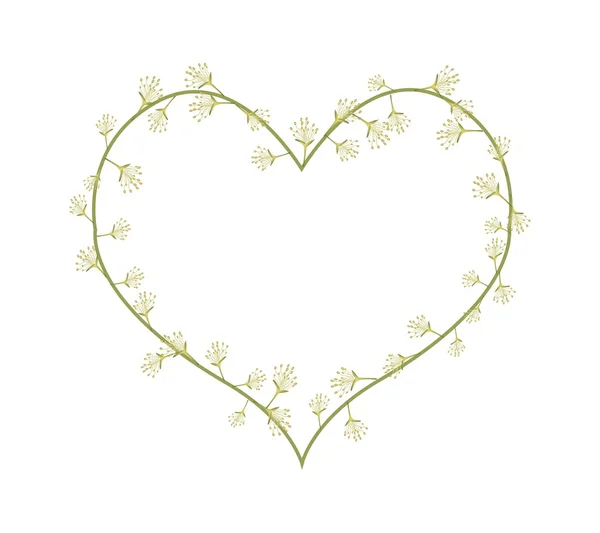 Комбретум Latifolium Flowers in A Heart Shape — стоковый вектор