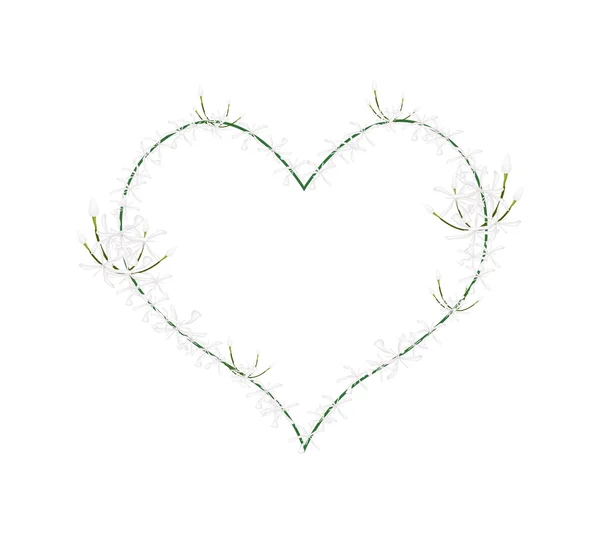 White Ixora Flowers in Heart Shape Frame — Stock Vector