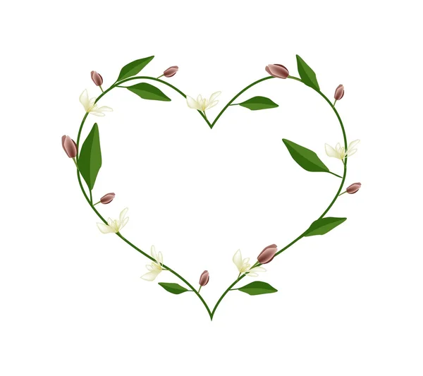 Vin Magnolia Fleurs en forme de coeur — Image vectorielle