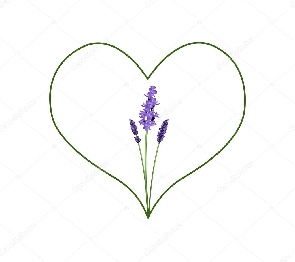 Beautiful Violet Lavender in A Green Heart Shape