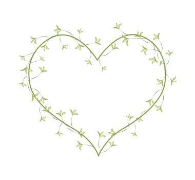 White Night Blooming Jasmines in A Heart Shape