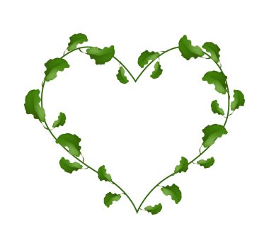 Evergreen Leaves in A Heart Shape Wreath