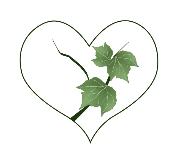Branch of Green Leaves in Heart Shape — Stock vektor
