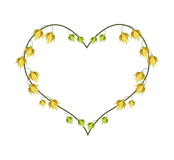 Ylang Ylang Flores en forma de corazón — Vector de stock