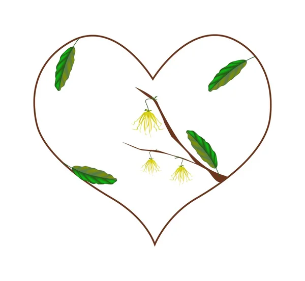 Yellow Ylang Ylang Flowers in A Heart Shape — Stockvector