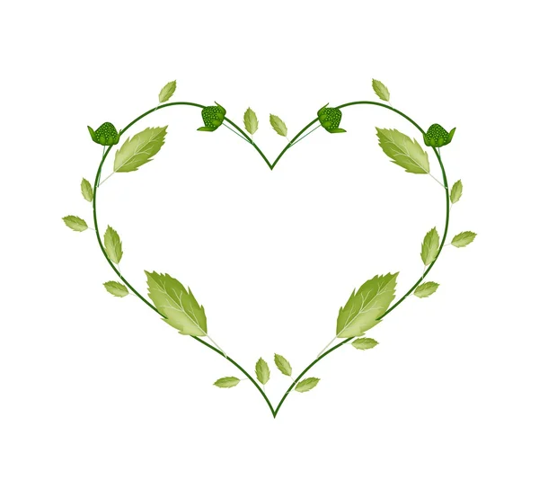 Hojas verdes y brotes de flores en forma de corazón — Vector de stock