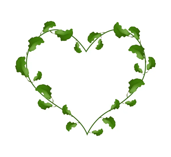 Evergreen Leaves in A Heart Shape Wreath — Wektor stockowy