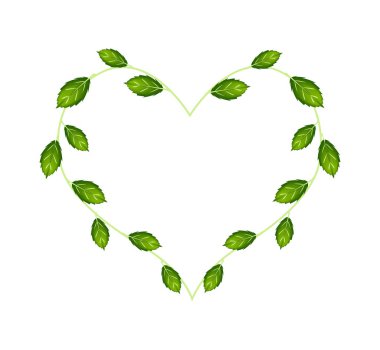 Sweet Basil Leaves and Flowers in A Heart Shape