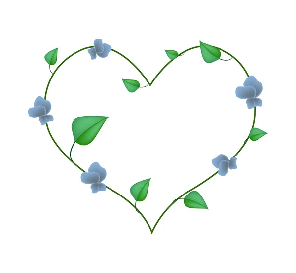 Winged Bean Plants in A Heart Shape — 图库矢量图片