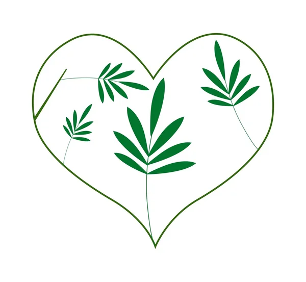 Fresh Green Leaves in A Heart Shape — Stock vektor