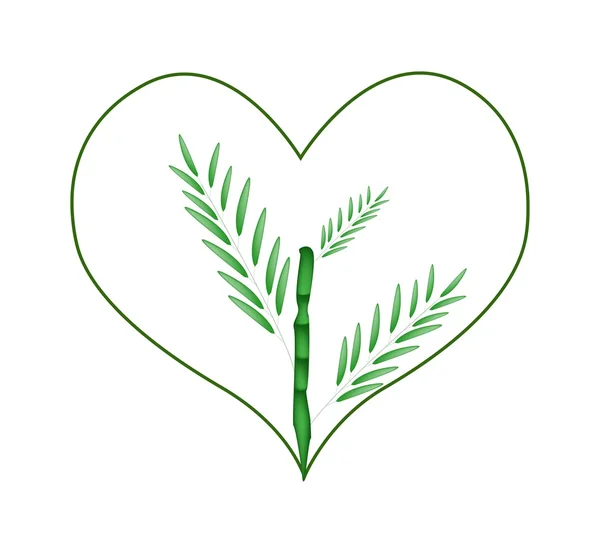 Fresh Bamboo Tree in A Heart Shape — Stock vektor