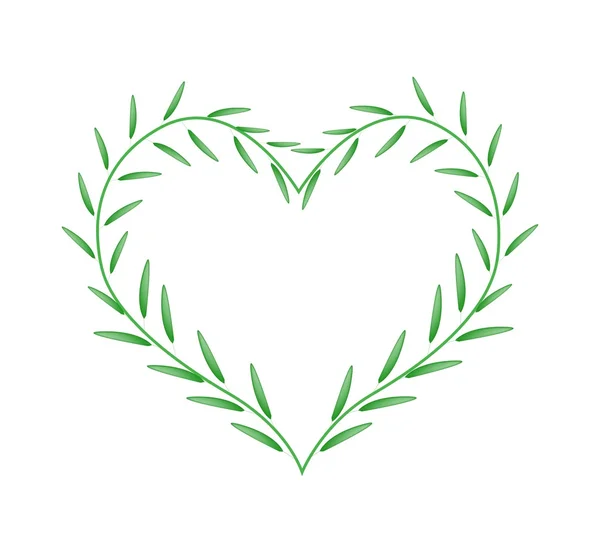 Foglie verdi fresche che si formano nella bella forma del cuore — Vettoriale Stock