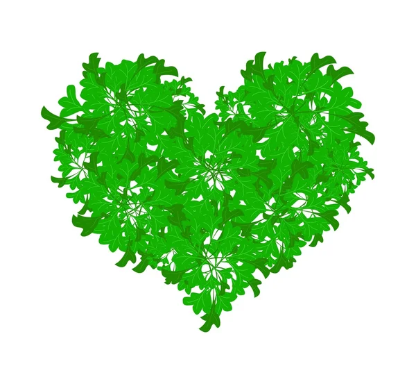 Fresh Parsley Leaves Forming in Beutiful Heart Shape — Stok Vektör