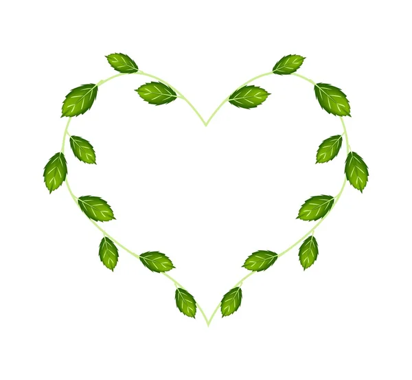 Sweet Basil Leaves and Flowers in A Heart Shape — Stock Vector