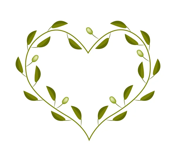 Оливковые листья и фрукты в раме в форме сердца — стоковый вектор