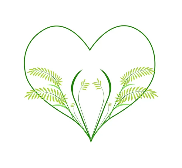 Fresh Fern Leaves in A Heart Shape — Stock vektor