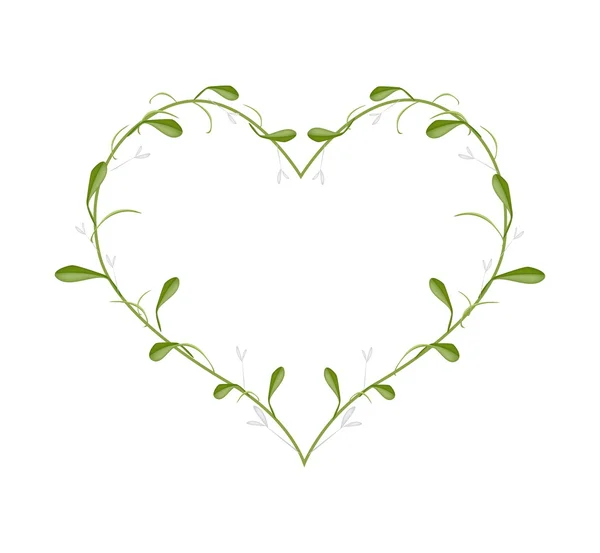 Lovely Green Mistletoe in A Heart Shape — Stockový vektor