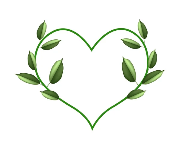 Green Vine Leaves in Beautiful Heart Shape — Stockvector