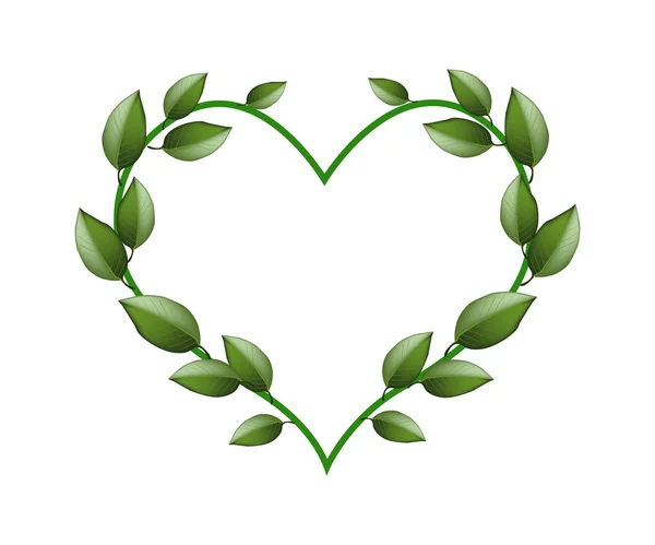 Fresche foglie di vite verde in una cornice a forma di cuore — Vettoriale Stock