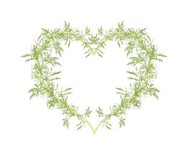 Beautiful Green Leafy Leaves in A Heart Shape — Stok Vektör